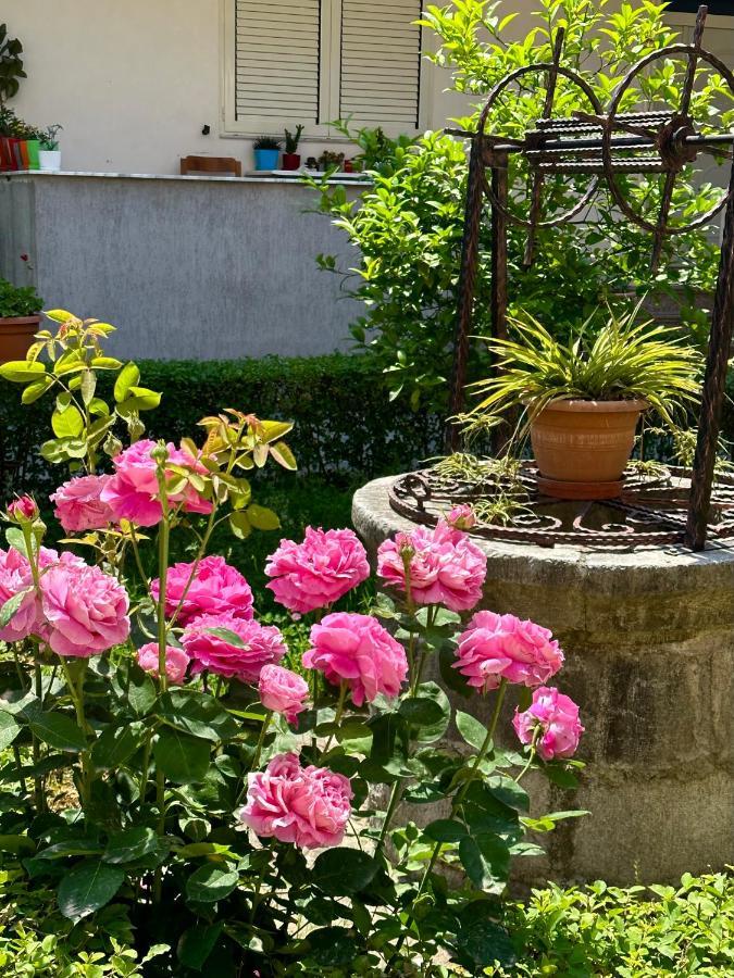 Js House Shkoder 1 Lägenhet Exteriör bild