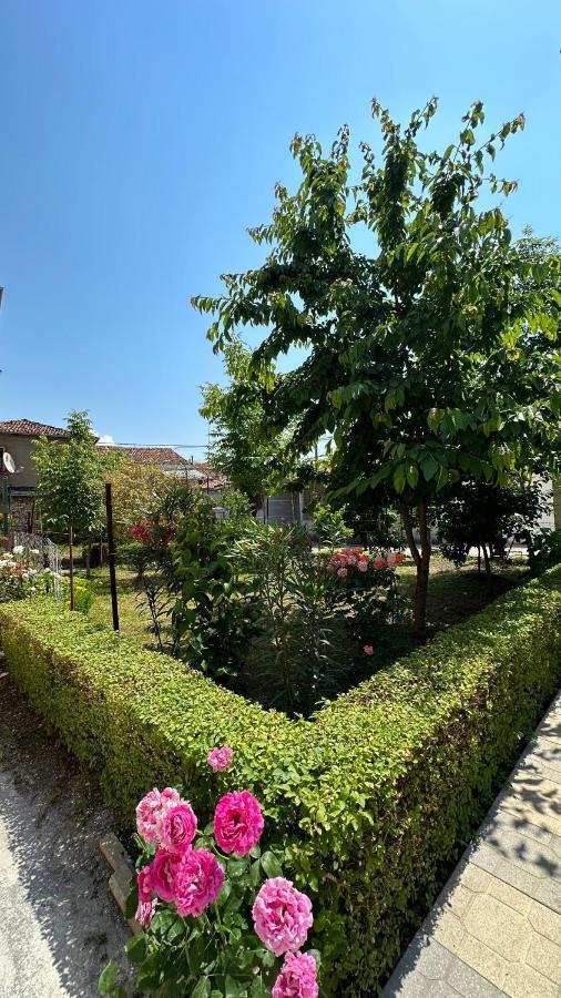 Js House Shkoder 1 Lägenhet Exteriör bild